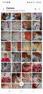 Heeel veel meisjes zomer kleding, Ophalen of Verzenden, Zo goed als nieuw, Meisje