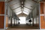 Stallen vrij, Dieren en Toebehoren, Stalling en Weidegang, Weidegang, 2 of 3 paarden of pony's
