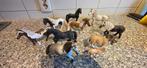 Schleich Paarden Collectie - 10 Stuks, Kinderen en Baby's, Speelgoed | Poppen, Ophalen of Verzenden, Gebruikt, Overige typen