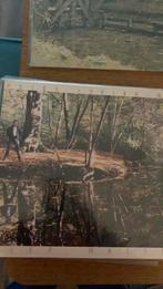 Peter Koelewijn - Diep Water, Ophalen of Verzenden, Gebruikt, Overige formaten, Levenslied of Smartlap