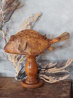 Gedroogde taxidermy koffervis boxfish opgezette vis, Verzamelen, Dierenverzamelingen, Ophalen of Verzenden, Gebruikt, Vogel, Opgezet dier