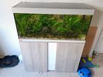 Eheim Vivaline 180  aquarium compleet, Dieren en Toebehoren, Vissen | Aquaria en Toebehoren, Ophalen, Zo goed als nieuw, Gevuld zoetwateraquarium