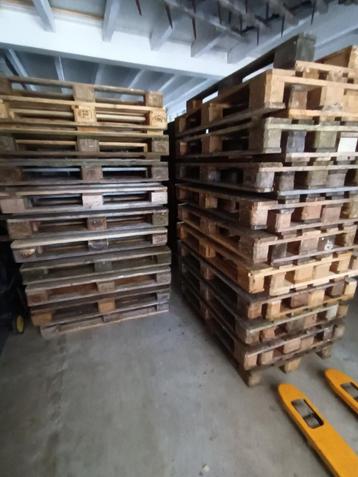 50 euro pallets beschikbaar voor biedingen