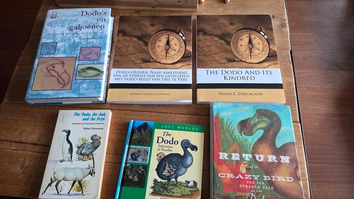 Dodo boudewijn buch  prachtige collectie boeken over Dodo, Boeken, Dieren en Huisdieren, Zo goed als nieuw, Verzenden