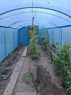 Tunnel kas, Gebruikt, Folie, Kweekkas, Ophalen