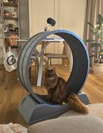Katten loopwiel, Dieren en Toebehoren, Katten-accessoires, Ophalen, Zo goed als nieuw