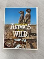 South African Animals in the wild - Zuid Afrika’s wilde dier, Ophalen of Verzenden, Zo goed als nieuw