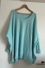 Reinders Loesje trui blauw, Kleding | Dames, Reinders, Blauw, Maat 42/44 (L), Ophalen of Verzenden