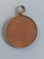 Penning volksweerbaarheid, Ophalen of Verzenden, Overige soorten, Nederland, Lintje, Medaille of Wings