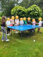 Tafeltennis tafel, Sport en Fitness, Ophalen, Gebruikt, Tafel Outdoor, Inklapbaar