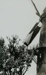 Bergambacht molen De Arend 1977, Ophalen of Verzenden, 1960 tot 1980, Ongelopen, Zuid-Holland
