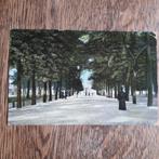 DEN HAAG / 's GRAVENHAGE : Lange Voorhout ca 1910, Verzamelen, Ophalen of Verzenden, Voor 1920, Gelopen, Zuid-Holland