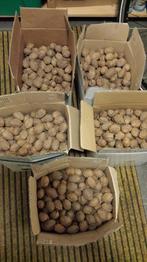 walnoten biologisch ALLERLAATSTE KILO'S 10 kilo beschikbaar, Ophalen