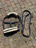 Halster+touw maat cob, Dieren en Toebehoren, Paarden en Pony's | Hoofdstellen en Tuigage, Ophalen of Verzenden, Zo goed als nieuw