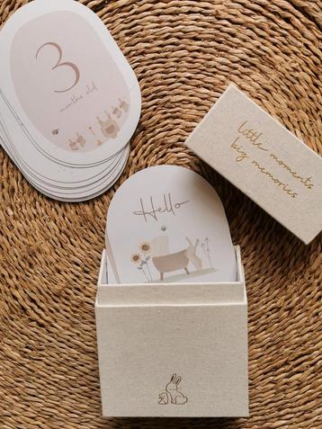 Little Dutch mijlpaalkaarten / milestone cards beschikbaar voor biedingen