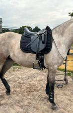 Thorrowgood dressuurzadel T8 surfaceblock 17”, Ophalen, Zo goed als nieuw, Dressuur