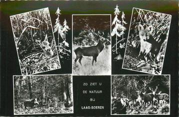(387-267-019) Laag-Soeren Natuur beschikbaar voor biedingen