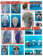 36 human skulls gewicht tussen de 20gram en de 1,4 kilo, Sieraden, Tassen en Uiterlijk, Edelstenen, Ophalen, Nieuw