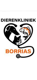 Pups vaccineren, paspoort en chippen va 50,00/pup, Ophalen, Nieuw