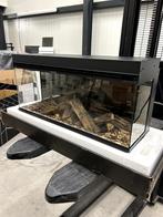 new forest British fire 870 deluxe, Huis en Inrichting, Ophalen of Verzenden, Zo goed als nieuw, Inbouwhaard, Elektrische haard