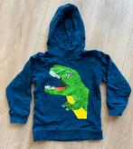 dino trui met omkeerbare pailletten (maat 110/116), Ophalen of Verzenden, Gebruikt, Jongen, Trui of Vest