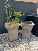Zinken bloempotten 2 stuks, Ophalen, Vierkant, Minder dan 25 cm, Metaal