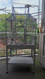 grote vogels kooi, Ophalen, Zo goed als nieuw, Metaal, Vogelkooi
