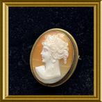 Oude schelp camee broche, Sieraden, Tassen en Uiterlijk, Antieke sieraden, Ophalen of Verzenden, Overige materialen, Broche