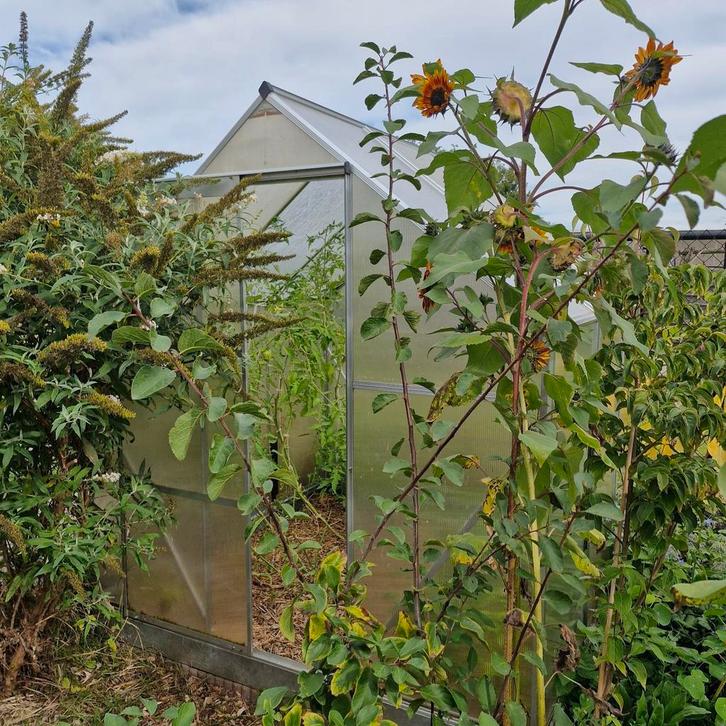 GRATIS aluminium kas met kunststof platen, Tuin en Terras, Kassen, Gebruikt, Aluminium, Polycarbonaat, Ophalen
