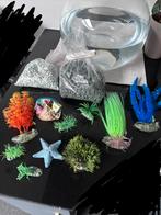 Vissenkom met accessoires, Ophalen, Zo goed als nieuw, Leeg aquarium