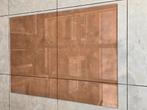 Plexiglas plaat rookglas, Doe-het-zelf en Verbouw, Ophalen, Nieuw, Overige materialen, Minder dan 20 mm