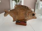 Opgezette Piranha, Verzamelen, Dierenverzamelingen, Ophalen, Zo goed als nieuw, Wild dier, Opgezet dier