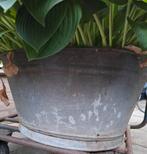 Grote zinken teil met hosta, Ophalen