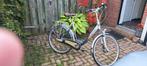 Gazelle Orange Plus, Fietsen en Brommers, Versnellingen, Zo goed als nieuw, Gazelle, 56 cm of meer