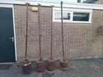 IJzeren palen met betonblok, Ophalen, Gebruikt, 180 tot 250 cm, Palen