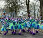 Grote loopgroep thema sprookje, elfjes, tovenaars carnaval, Kleding | Dames, Carnavalskleding en Feestkleding, Ophalen of Verzenden