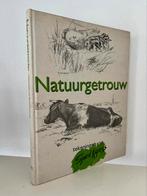 Natuurgetrouw - Sjoerd Kuperus, Boeken, Ophalen of Verzenden, Zo goed als nieuw, Schilder- en Tekenkunst