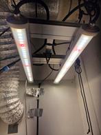 g-bar 100watt growlight, Ophalen of Verzenden, Gebruikt, Vloer