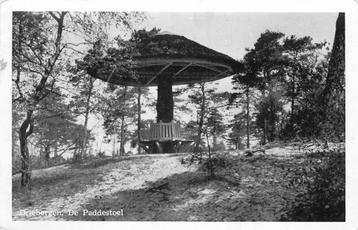 (388-328-031) Driebergen-Rijsenburg De Paddenstoel beschikbaar voor biedingen