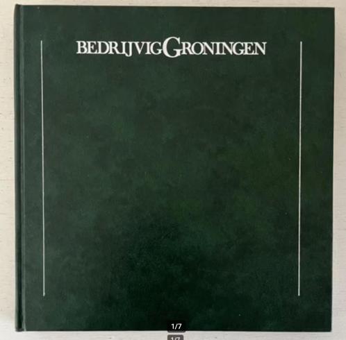 Bedrijvig Groningen - Drs. Frits R. Loomeijer, Boeken, Geschiedenis | Stad en Regio, Gelezen, 20e eeuw of later, Ophalen of Verzenden
