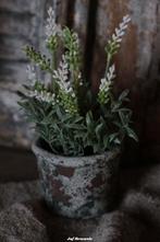 Stenen potje met witte lavendel, Www.jufbrocante.nl, Www.jufbrocante.nl, Nieuw, Ophalen of Verzenden