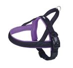 NOBBY Mesh Preno Harnas XL Borstomtrek 75-98 cm Paars KOOPJE, Dieren en Toebehoren, Honden-accessoires, Ophalen of Verzenden, Nieuw