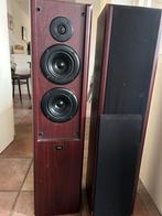 BAS Zuilen - Klinken geweldig!, Audio, Tv en Foto, Luidsprekers, Overige merken, Gebruikt, Ophalen of Verzenden, 120 watt of meer