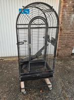 te koop grote papegaaienkooi, Dieren en Toebehoren, Ophalen, Gebruikt, Metaal, Vogelkooi