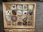 Mineralen stenen en fossielen  verzameling, Verzamelen, Mineralen en Fossielen, Ophalen of Verzenden, Fossiel