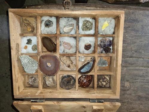 Mineralen stenen en fossielen  verzameling, Verzamelen, Mineralen en Fossielen, Fossiel, Ophalen of Verzenden