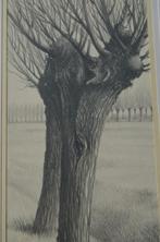 10 x Hendrik Voskuijl (1893 - 1980) potloodtek. 'bomen' (2), Antiek en Kunst, Ophalen of Verzenden