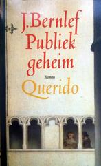 J. Bernlef - Publiek geheim (Ex.2), Ophalen of Verzenden, Gelezen, Nederland