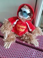 Beer nieuw, Ophalen of Verzenden, Nieuw, Stoffen beer, Overige merken