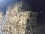 1e klas Paardenhooi, Dieren en Toebehoren, Ophalen